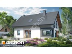 Проект будинку ARCHON+ Будинок в пампасах 