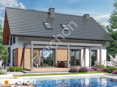 Проєкт будинку ARCHON+ Будинок в пампасах 