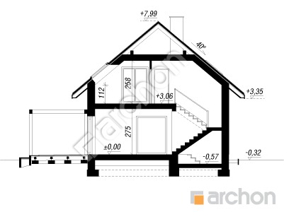 Проєкт будинку ARCHON+ Будинок в пампасах Розріз будинку