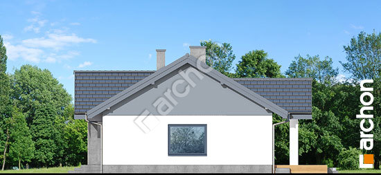 Боковой фасад Дом в лещиновнике