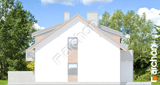 Боковой фасад Дом в клематисах 20 (Б) вер.2