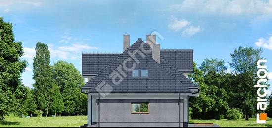 Бочний фасад Будинок в сливах 5 (Г2)