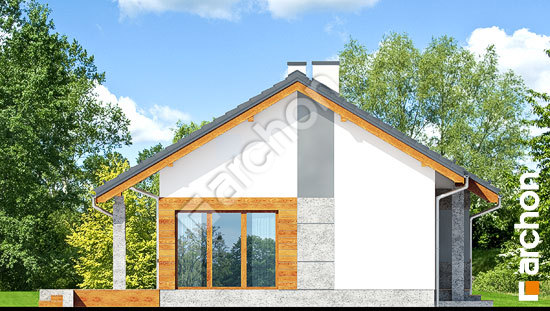 Бочний фасад Будинок під липкою