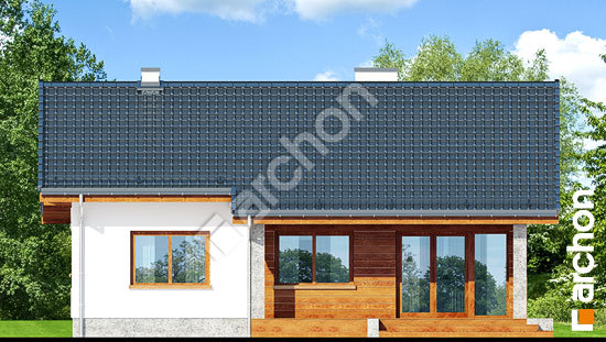 Дворовий фасад Будинок під липкою