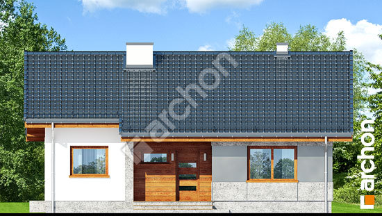 Передний фасад Дом под липкой