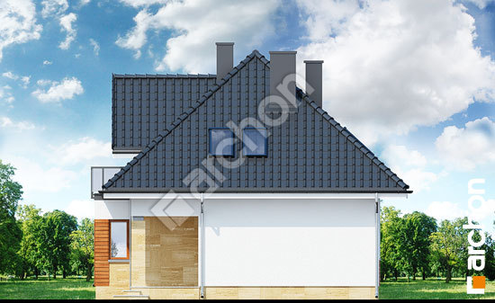 Боковой фасад Дом в авокадо (Н)