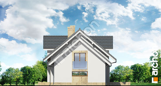 Боковой фасад Дом в рододендронах 6 (Г2A)