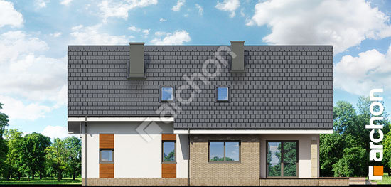 Дворовий фасад Будинок в бугенвіліях 