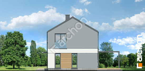 Боковой фасад Дом в чернике 2