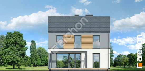 Дворовой фасад Дом в чернике 2