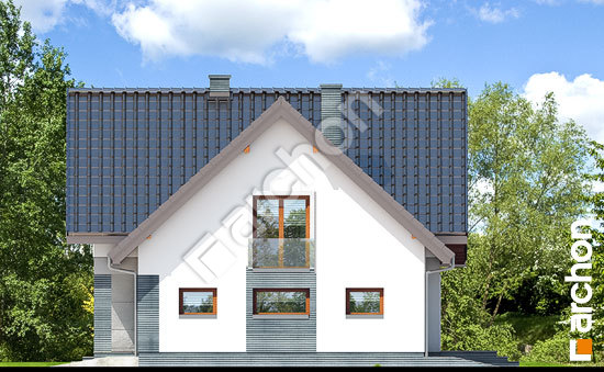 Бочний фасад Будинок в алоізіях