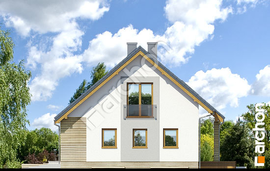 Бочний фасад Будинок в журавках (П)