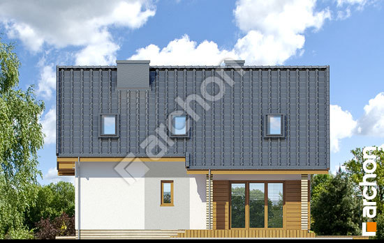 Дворовой фасад Дом в журавках (П)