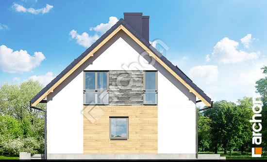 Боковой фасад Дом в хлорофитуме 3