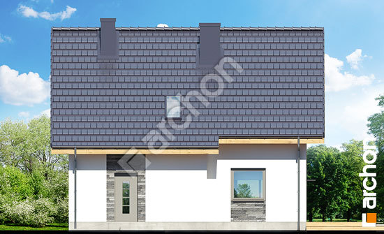 Дворовой фасад Дом в хлорофитуме 3