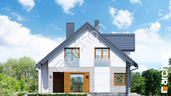 Бочний фасад Будинок у яновцях 