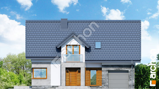 Передній фасад Будинок у яновцях 