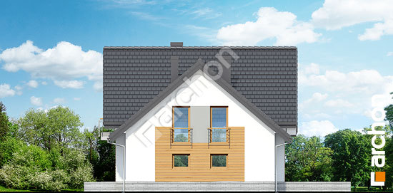 Боковой фасад Дом в филодендронах 2