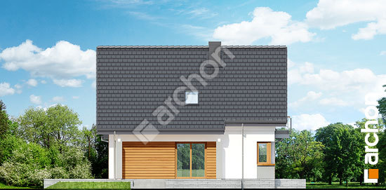 Боковой фасад Дом в филодендронах 2