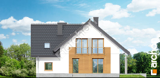 Дворовой фасад Дом в филодендронах 2