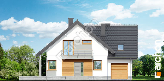 Передній фасад Будинок в філодендронах 2