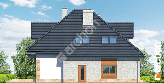 Боковой фасад Дом в волчьих ягодах