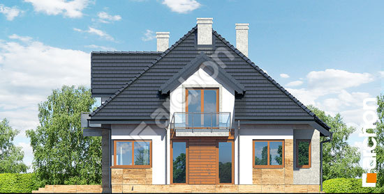 Дворовий фасад Будинок в вовчих ягодах