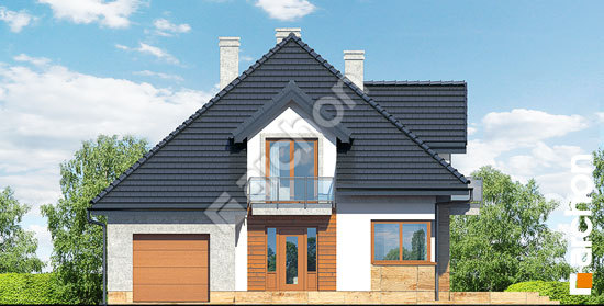 Передний фасад Дом в волчьих ягодах