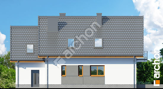 Дворовий фасад Будинок рододендронах 16