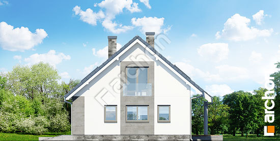 Бочний фасад Будинок в гейджею (П)