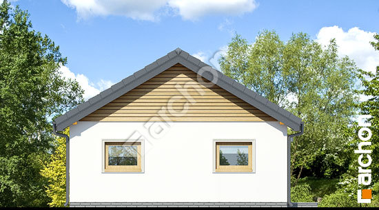 Дворовий фасад Г19 - Одномісний гараж