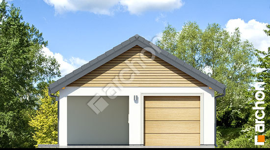 Передний фасад Г19 - Одноместный гараж 