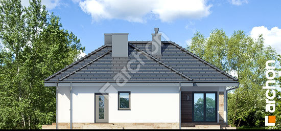 Бочний фасад Будинок в грушках