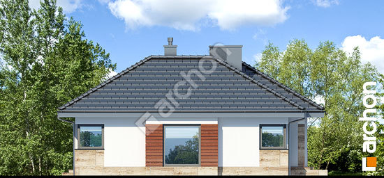 Бочний фасад Будинок в грушках