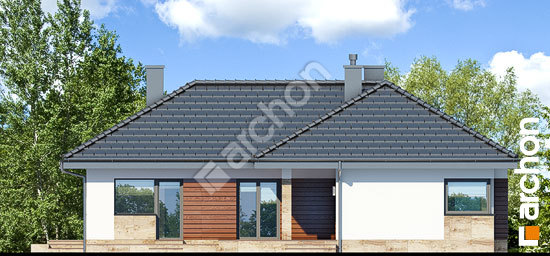 Дворовой фасад Дом в грушках