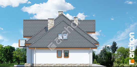 Боковой фасад Дом в каннах 