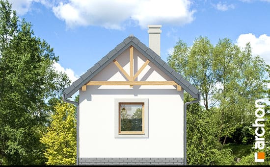 Дворовий фасад Альтанка А4