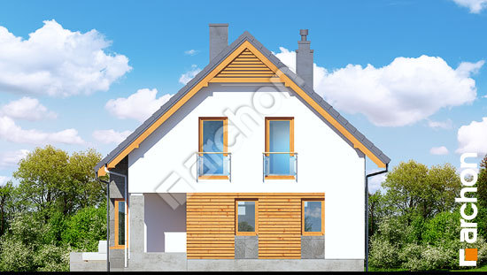 Боковой фасад Дом в мандарынках (Н)