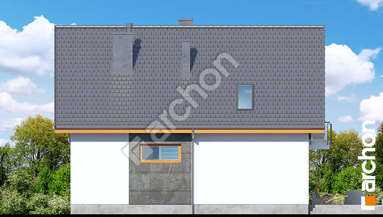 Дворовий фасад Будинок в мандаринках (Н)