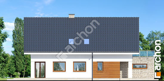 Бочний фасад Будинок в купині (Г2)