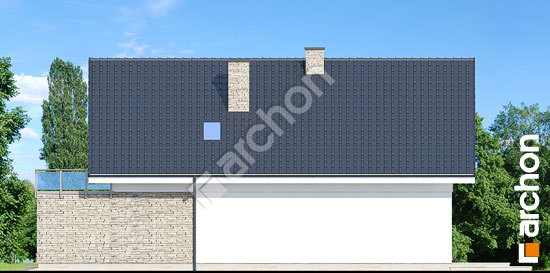 Бочний фасад Будинок в купині (Г2)