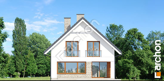 Дворовий фасад Будинок в купині (Г2)