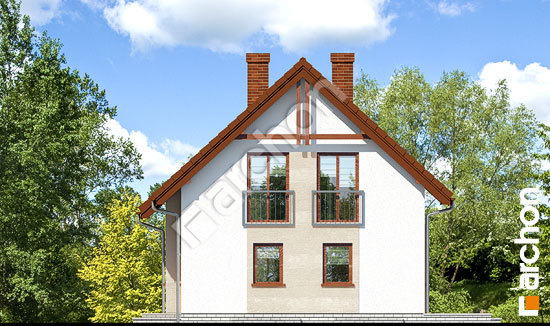 Бочний фасад Будинок в хлорофітумі (П)