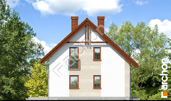 Бочний фасад Будинок в хлорофітумі (П)