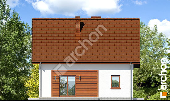 Дворовой фасад Дом в хлорофитуме (П)