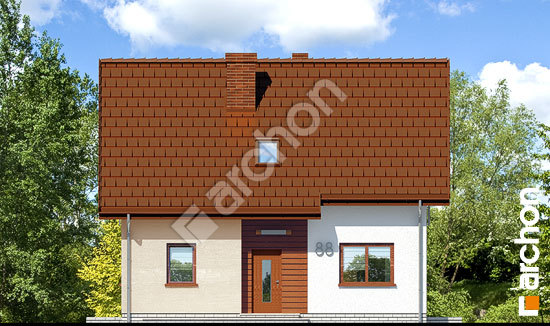 Передний фасад Дом в хлорофитуме (П)