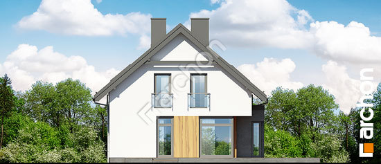 Дворовий фасад Будинок під хікорою