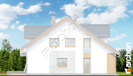 Бочний фасад Будинок під гінко (ГБСМ)