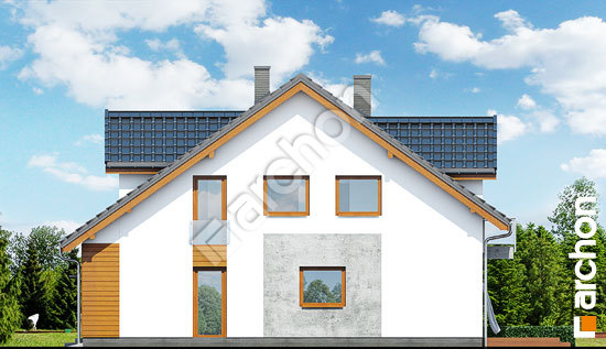 Боковой фасад  Дом под гинко (ГБСМ)