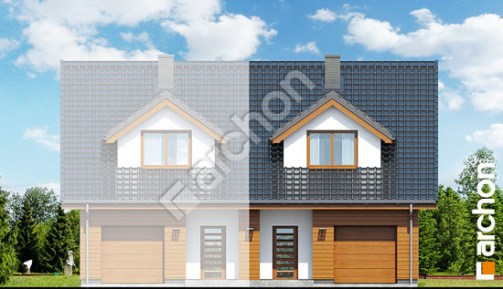 Передний фасад  Дом под гинко (ГБСМ)